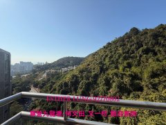 毕架山花园 石硖尾 K189926 售盘