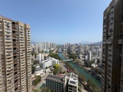 太和村 大埔 高層 R120282 售盤