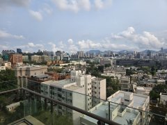 畢架山一號 九龍塘 高層 K132444 售盤