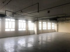 华丰工业中心 第01座 葵涌工厦出租 2,960尺 | Regent