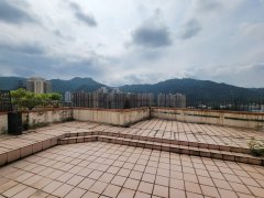 沙田花园 沙田 中层 T183572 售盘