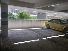 金狮花园 沙田 C520184 售盘