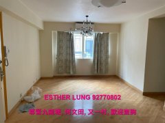 贤文别墅 九龙塘 T142616 售盘
