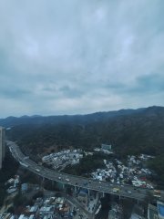碧堤半島 荃灣 高層 B059691 售盤