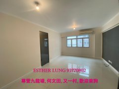 贤文别墅 九龙塘 K158554 售盘