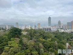 爵士花园 油麻地 高层 1837406 售盘