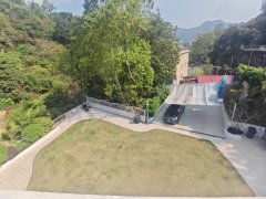 道風山路 沙田 全幢 1827456 售盤