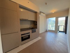 柏傲庄 沙田 高层 1809120 售盘