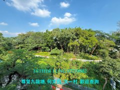 萬金閣 石硤尾 K192225 售盤