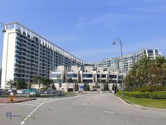 天賦海灣 大埔 全幢 1826804 售盤