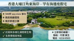 汀角东海岸 大埔 1838582 售盘