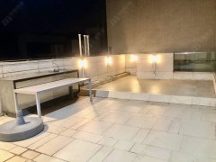 壹号云顶 沙田 顶层 1850284 售盘