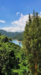湖景花園 沙田 低層 T025937 售盤