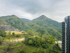 瓏珀山 沙田 高層 1801848 售盤