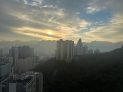 彩禾苑 沙田 高層 T177893 售盤