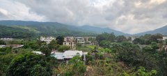 林村新村 大埔 高層 1831584 售盤
