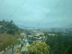 鹿茵山莊 大埔 低層 1805578 售盤