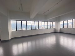 Goodman Global Gateway Tsuen Wan industrial for rent 3,899 sq.ft. | Regent