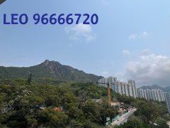 尚御 九龍塘 T136418 售盤
