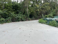 榄口村路 元朗 Y038034 售盘