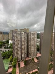 太湖花園 大埔 高層 R165436 售盤