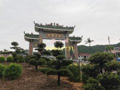 坑下莆 大埔 P175181 售盘