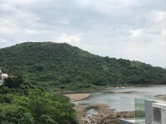 大灘 西貢 低層 000190 售盤