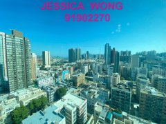 陶源 (41區名校網, 有會所, 新靚裝) 