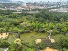 美孚新村 荔枝角 高層 B061391 售盤