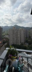 綠怡雅苑 沙田 高層 T129274 售盤