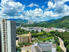 粉嶺中心 粉嶺 高層 026178 售盤