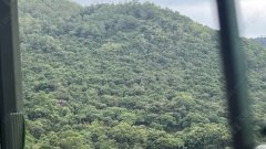 翠林村 將軍澳 低層 1807242 售盤