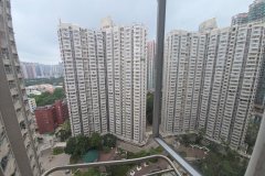 景林村 將軍澳 高層 F184615 售盤