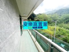 龙跃头 粉岭 低层 011707 售盘