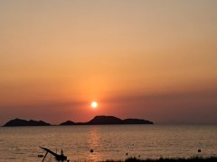 沙埔崗127號 屯門 低層 C515889 售盤