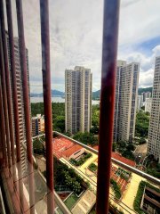 富善村.高層向北.開揚景觀.銀主盤 大埔 高層 F079983 售盤