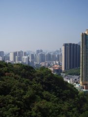 嘉峰台 牛池湾 高层 N089373 售盘