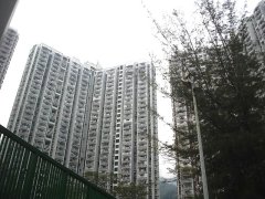 竹園北村 黃大仙 高層 F126409 售盤