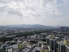 蝶翠峰 元朗 高層 000084 售盤