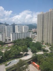 大埔中心 大埔 高層 R118170 售盤