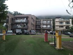 红林居 大埔 地下 J027661 售盘