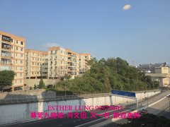 映月台 九龍塘 K149097 售盤