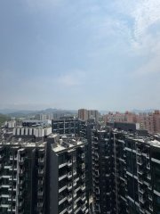 黃金海灣 屯門 高層 A071214 售盤