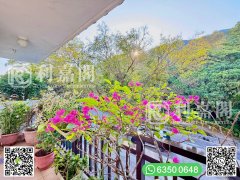 大埔仔 西貢 高層 1793010 售盤