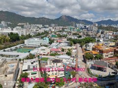 公爵阁 何文田 K191531 售盘