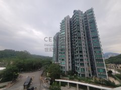 嵐山 大埔 1825334 售盤