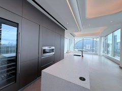 峻譽渣甸山 東半山 1851144 售盤