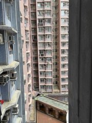 宝明苑 将军澳 中层 F170376 售盘