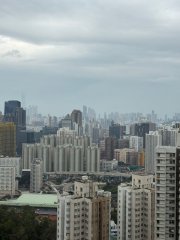 瓊麗苑 牛池灣 高層 L126042 售盤