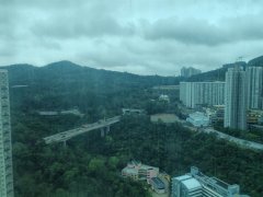 慧安园 将军澳 高层 F184801 售盘